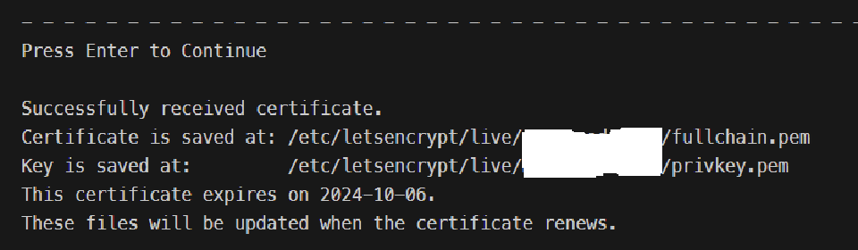 Verifying ACME DNS challenge in Certbot
